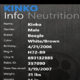 Download Pet Buddy Cell Phone Software